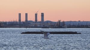 Finanzminister warnt vor weiterer Eskalation des Handelskriegs