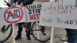 Grüne beharren weiter auf Verbotsverfahren gegen AfD