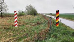 Grünen-Vize will EU-Verfahren gegen Deutschland wegen Grenzpolitik