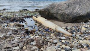 Macron und Schneider wollen internationalen Einsatz für Meeresschutz Macron und Schneider wollen internationalen Einsatz für Meeresschutz