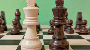 Harvard-Ökonom Rogoff unterhielt sich mit Merkel über Schach