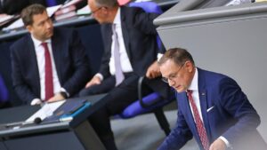 Bundesregierung unterhält "normale" Kommunikation zur AfD