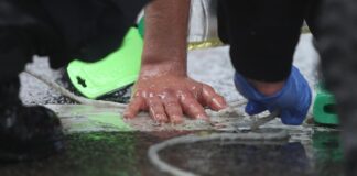 Klimaaktivisten blockieren stundenlang Autobahn A9 bei München