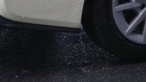 Studie: Reifenabrieb verändert Mikrobenwelt im Rhein Studie: Reifenabrieb verändert Mikrobenwelt im Rhein