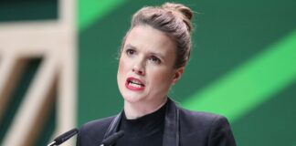 Reintke fordert Intervention von Merz im EU-Parlament