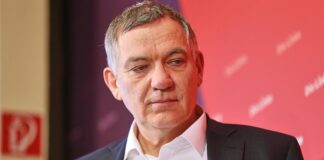 Linke fordert Dispozins-Deckel