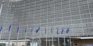 EU-Kommission genehmigt Zahlungen für Kohleausstieg in der Lausitz