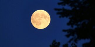 Deutscher soll zum Mond fliegen