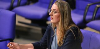 Grüne fordern Familienunternehmer zu Abgrenzung von AfD auf