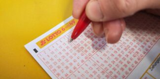 Lottozahlen vom Samstag (08.11.2025)