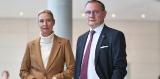 Forsa: AfD hält Führung – Union stabil