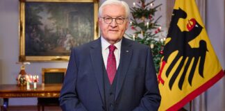 Steinmeier mahnt zu Einsatz für gemeinsame Werte