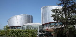 Hubig warnt vor "politischer Einflussnahme" auf EGMR