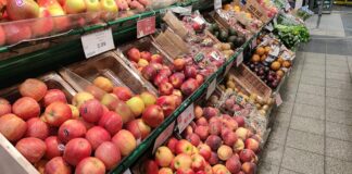 Obstbaubetriebe verzeichnen ertragreiches Jahr im Apfelanbau