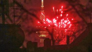 Silvester: Grüne wollen verschärfte Sprengstoffverordnung