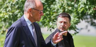 Selenskyj und Merz besprechen Treffen mit Trump