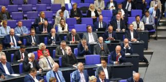 35 Ordnungsrufe für die AfD im Bundestag seit Neuwahl