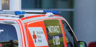 Zwei Tote bei Frontalunfall auf Landstraße in Brandenburg