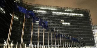 Ex-Außenminister Gabriel ruft EU zur "Rosskur" auf