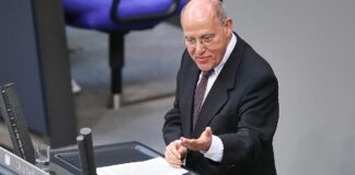 Gysi regt Wahlrechtsreform an