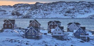 Merz dankt Trump für Abkehr von Grönland-Plänen