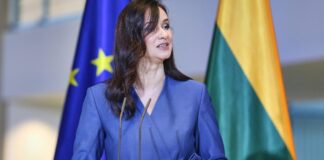 Litauen mahnt europäischen "Plan B" für Sicherheit an