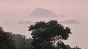 IPBES: Unternehmen gefährden durch Naturzerstörung eigene Zukunft